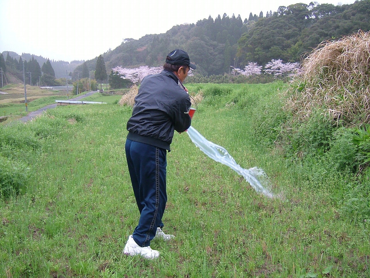 春になる前に酵素を散布